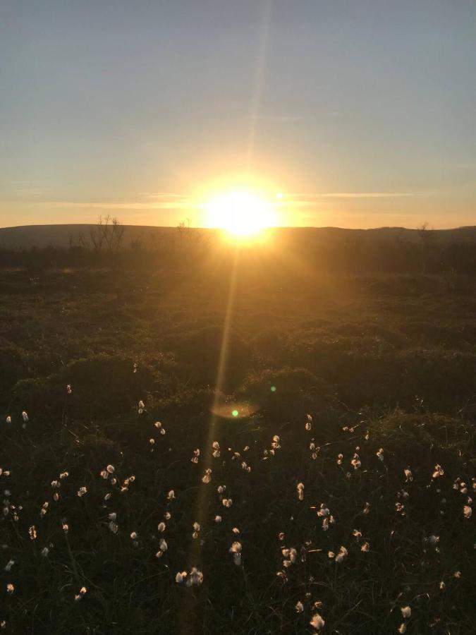 Vadsø Jakobselvkaia المظهر الخارجي الصورة